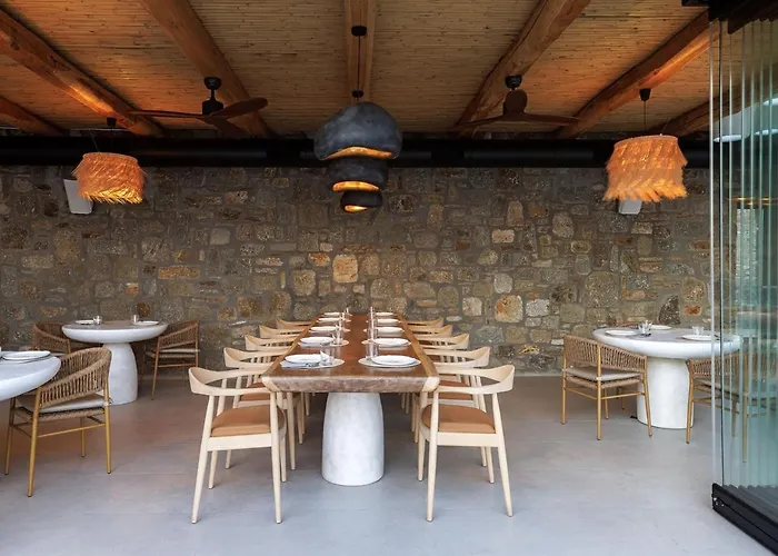 Whiteart Hotel apartamentowy Agrari (Mykonos)