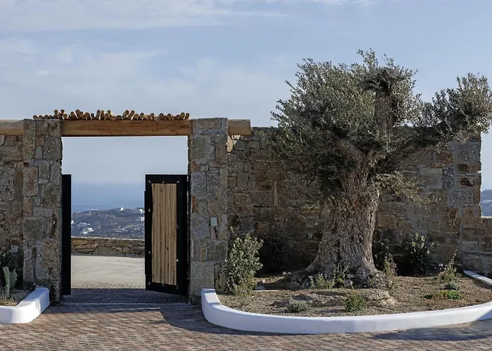 Aparthotel Whiteart Agrari (Mykonos)